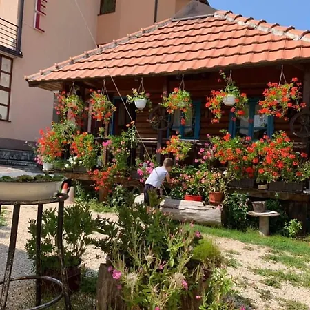 호텔 Dva Goluba 페일